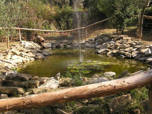 Agroturismo Dolci Colline Holidays Villas