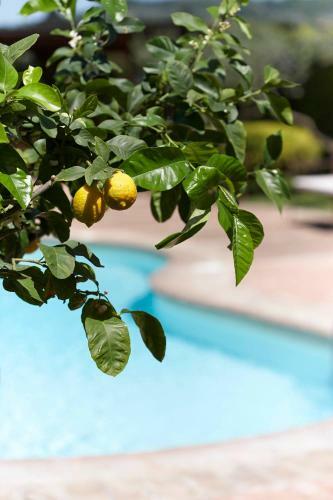 Agroturismo Il Roseto