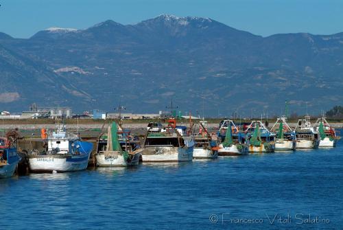 Il Falco E Il Gabbiano B&B
