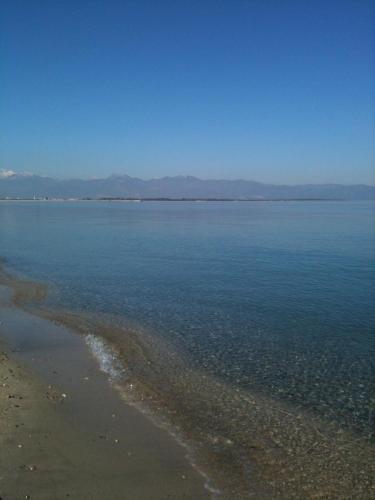 Il Falco E Il Gabbiano B&B