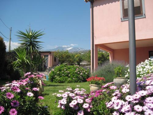 Villa Il Vecchio Casale Degli Agrumi