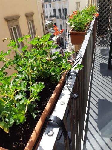 Hotel Antica Repubblica