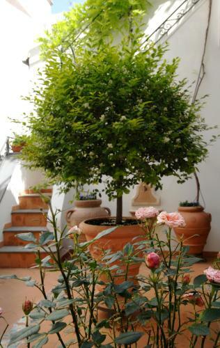 Hotel Antica Repubblica