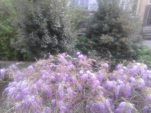 Bed & Breakfast La Villetta