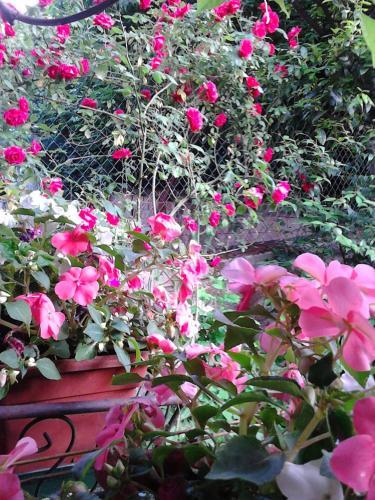 Bed & Breakfast La Villetta