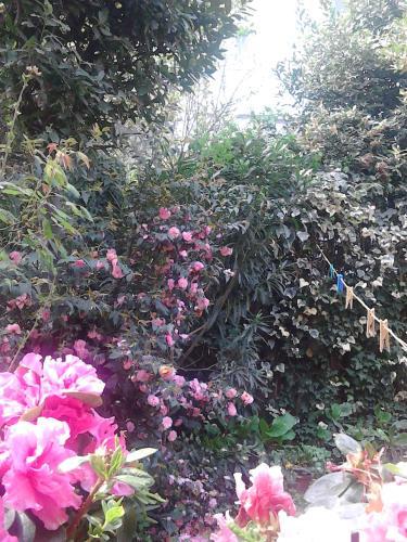 Bed & Breakfast La Villetta