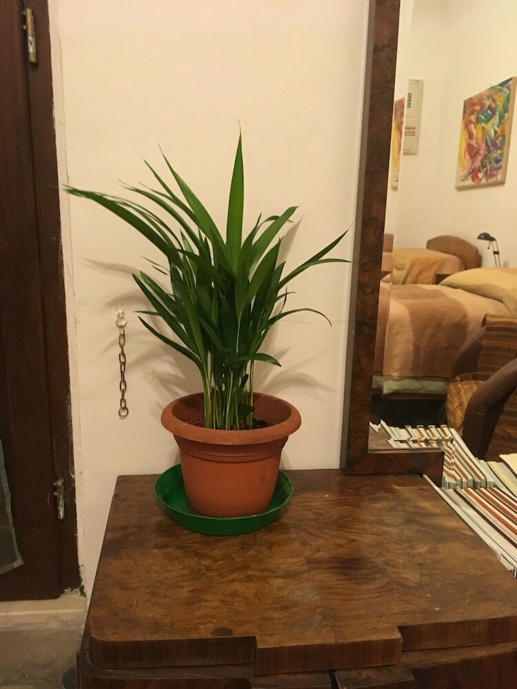 Apartamento B&B Del Teatro