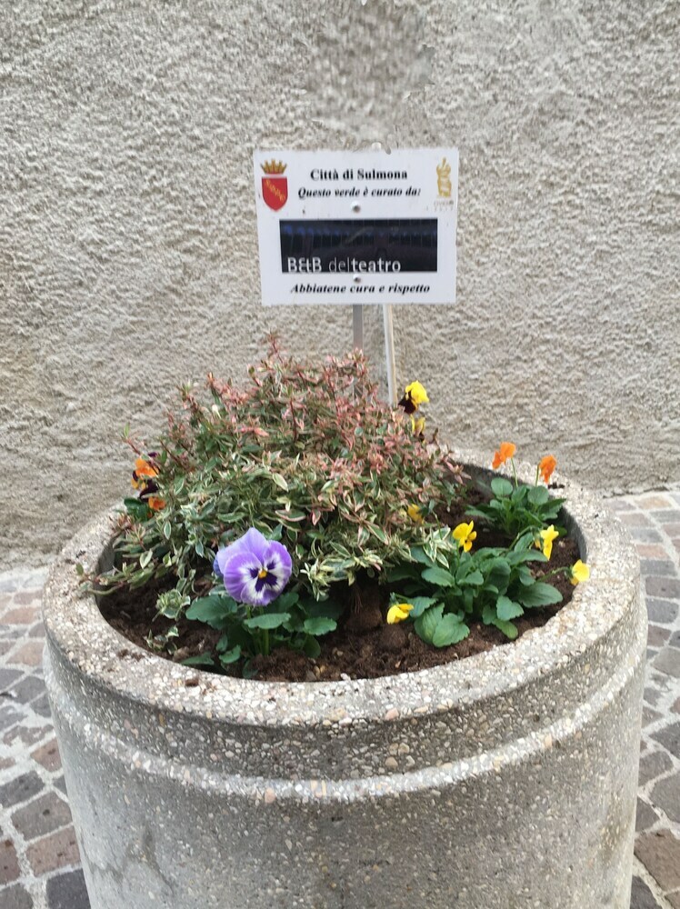 Apartamento B&B Del Teatro