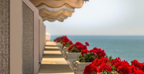 Hotel Vina Del Mar Pineta