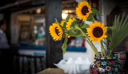 Hotel Vina Del Mar Pineta