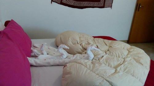 Apartamento La Salina