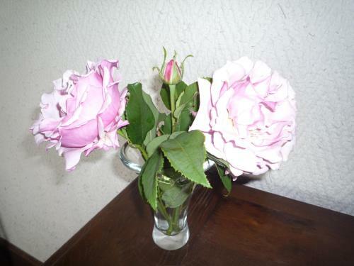 Bed & Breakfast La Villa C�t� Mer