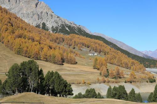 Apartamento Casa Colturi