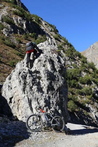 Apartamento Casa Colturi