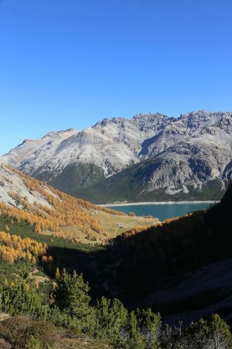 Apartamento Casa Colturi