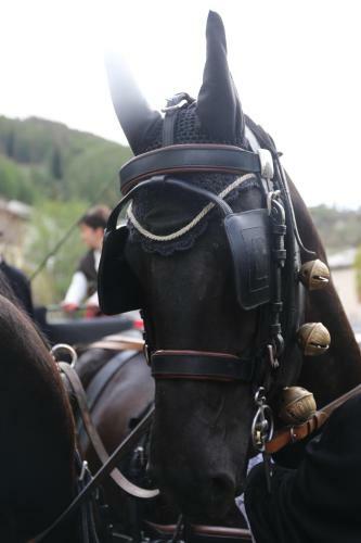 Apartamento Casa Colturi