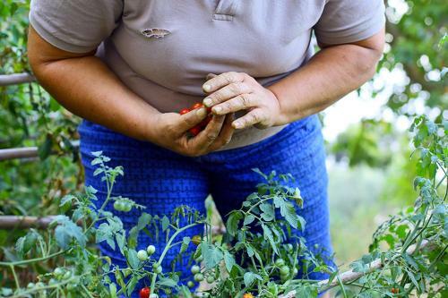 Bed & Breakfast Colle Dell'ara