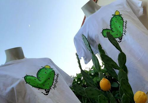 Bed & Breakfast B. & B. Arcadias