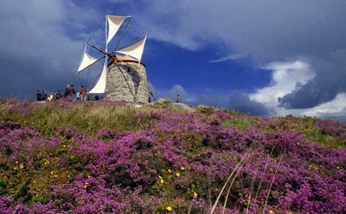 Agroturismo Casa De Campo Sossego Da Lata