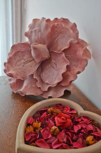 Agroturismo Casa De Campo Sossego Da Lata