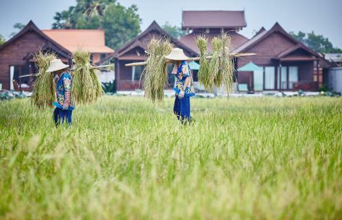 Hotel The Farmer Boutique Resort & Spa