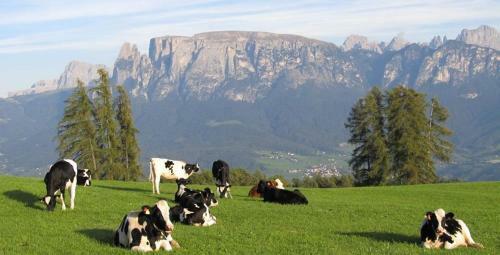 Agroturismo Appartments Neuhof