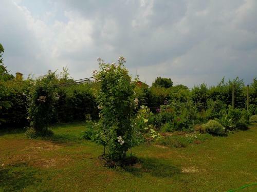 Bed & Breakfast Aganis