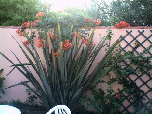 Hotel L'auberge Vend�enne