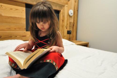 Hotel Albergo Alpino