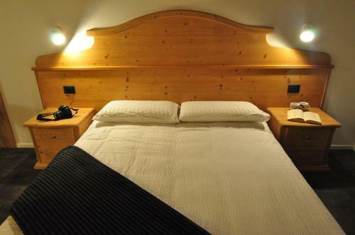 Hotel Albergo Alpino