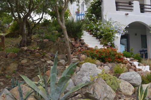 Casa Shezella