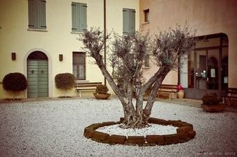 Agroturismo Agriturismo Cascina Boschi