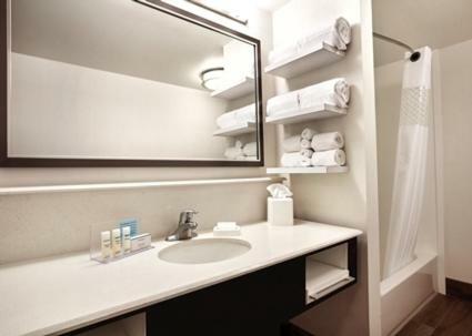 Hotel Hampton Inn Brigham