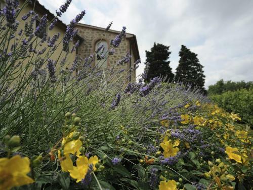 Agroturismo Borgo Casalvento