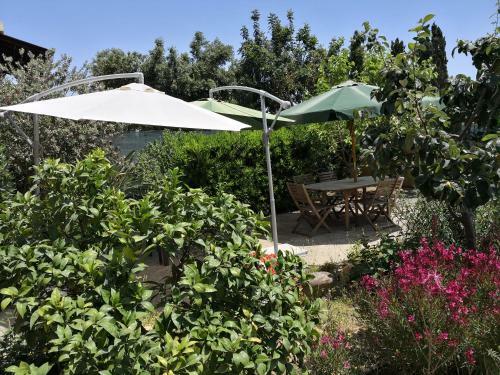 Bed & Breakfast Gassa D'amante