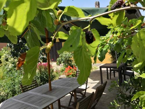 Bed & Breakfast Gassa D'amante