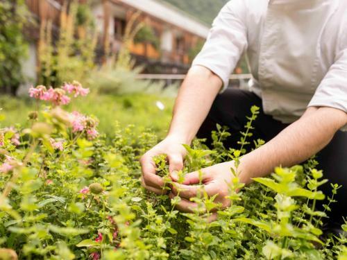 Theiner's Garten Bio Vitalhotel ****superior