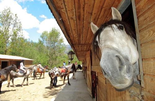 Agroturismo Els Torrents