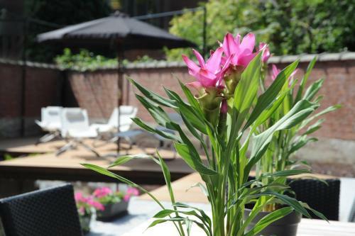 Charmehotel Villa Saporis