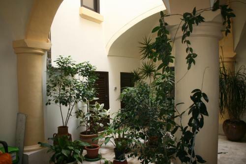 Hostal Palazzo Franza Musar�