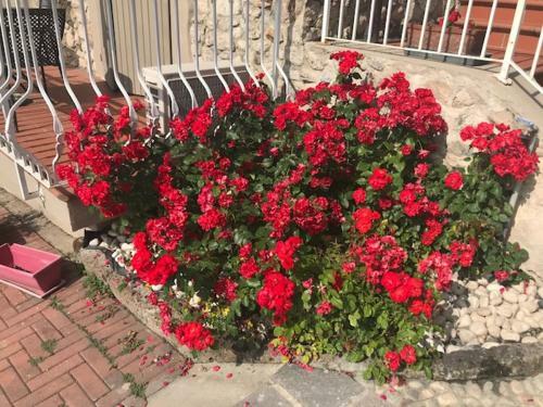 Agroturismo Il Ghetto Farm Holiday