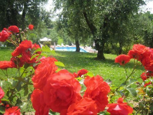 Agroturismo Il Ghetto Farm Holiday