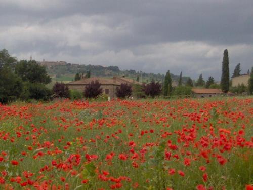 Agroturismo Agriturismo Casalpiano