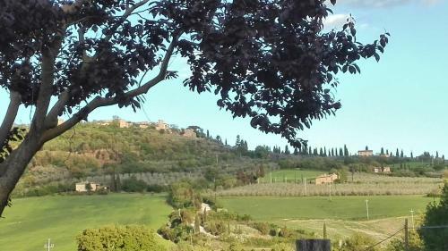 Agroturismo Agriturismo Casalpiano