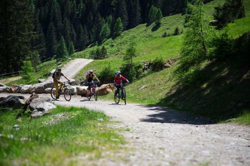 Bed & Breakfast Hotel Garn� Alpenrose