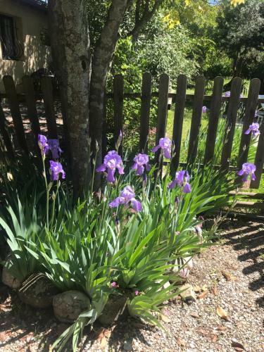 Bed & Breakfast Les Montades Chambres D'h�tes