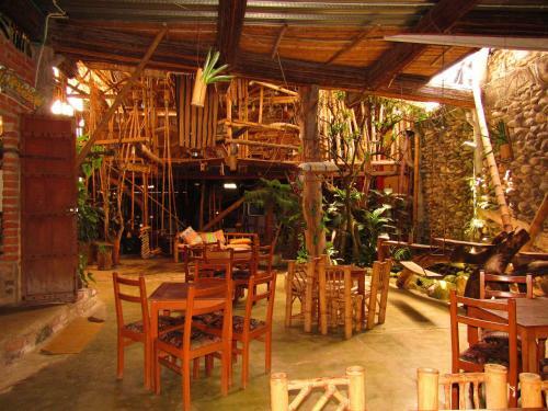 Villa Hotel Casa Tarzan