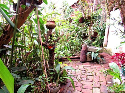 Villa Hotel Casa Tarzan