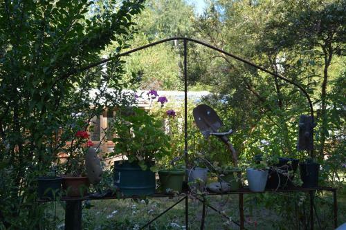 Agroturismo La Codorniz B&B