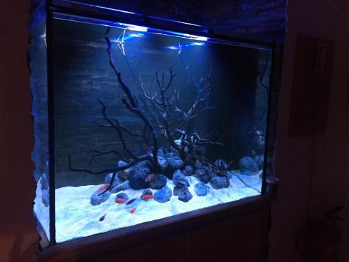 Apartamento Aquarium House